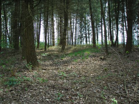 Foto 23